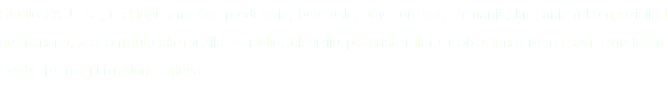 Studio PAUL se, u sklopu muzičke produkcije, bavi uslugama tonskog snimanja, kreiranjem kompozicija i aranžmana, izradom autorske muzike za radio, televiziju, pozorište i film, a u oblastima dizajna bavi se grafičkim i web dizajnom i izradom sajtova.